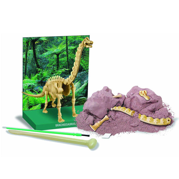 Dinosaurio Brachiosaurus Excava